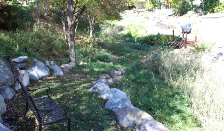 Stream